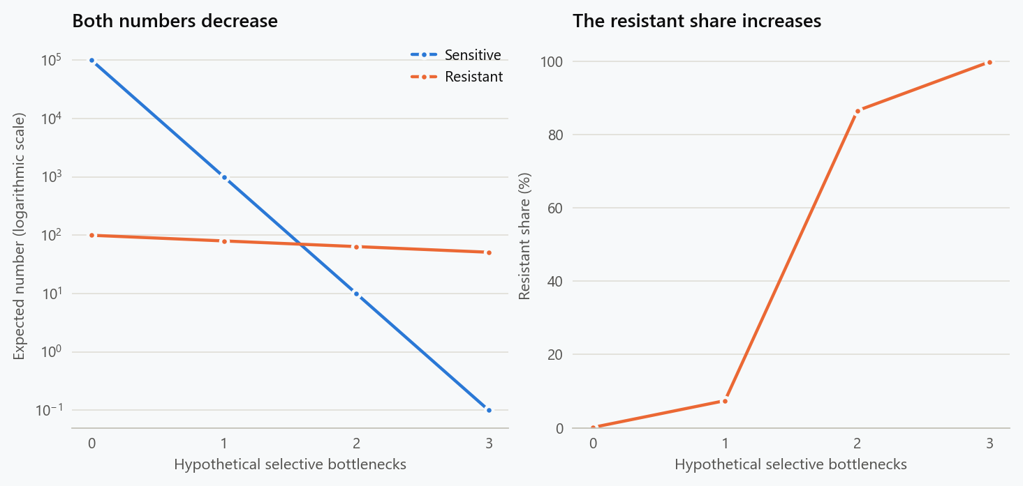The first panel shows both sensitive and resistant expected counts falling through three hypothetical bottlenecks. The second shows the resistant share rising from 0.1 percent to almost 100 percent.