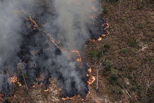 GIS-Based Forest Fire Hotspot Identification: A Comprehensive Approach Using Contributory Factors