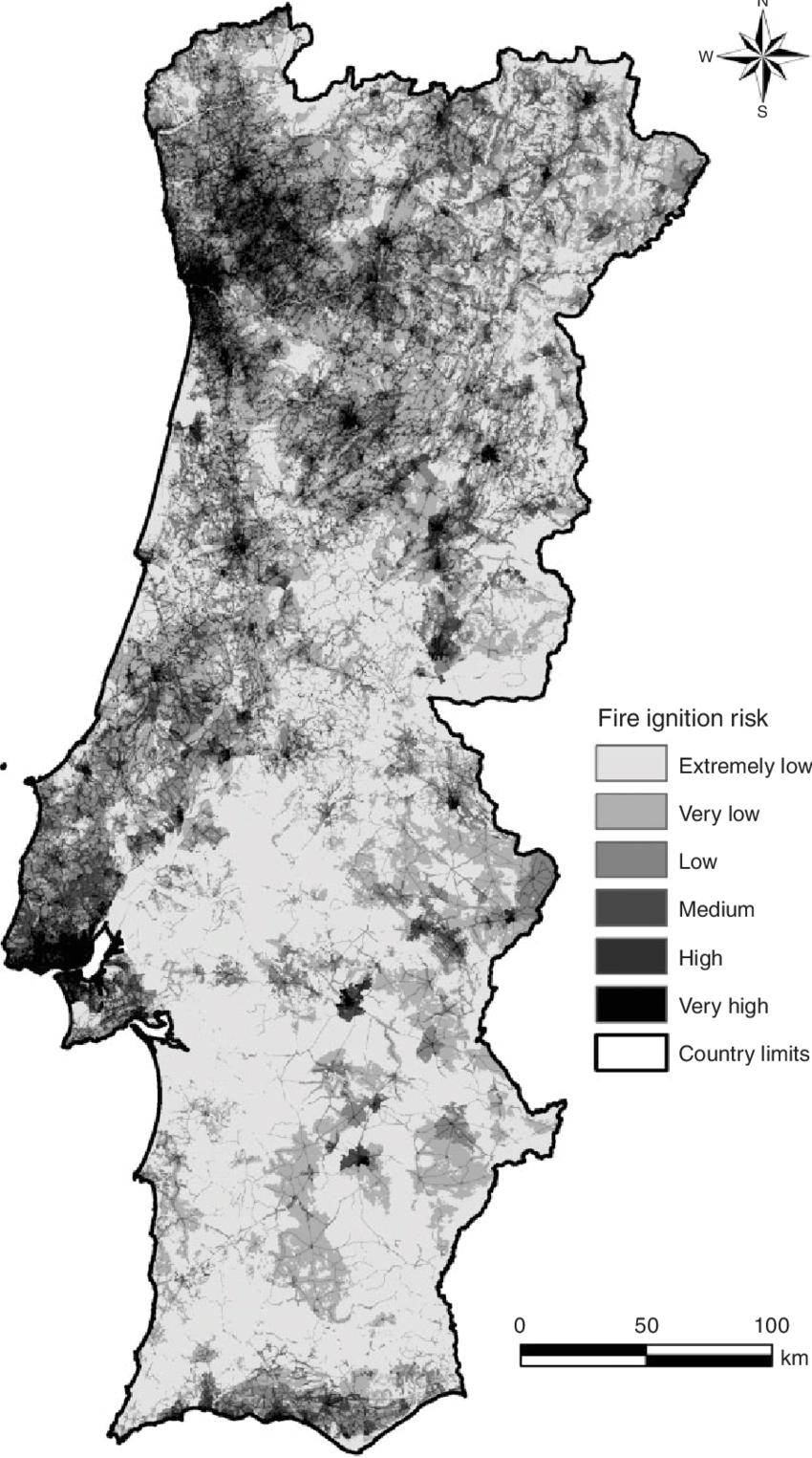 Example Image